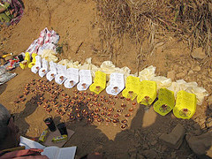 Pūjā Ceremony